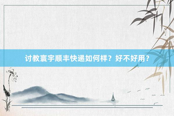 讨教寰宇顺丰快递如何样？好不好用？