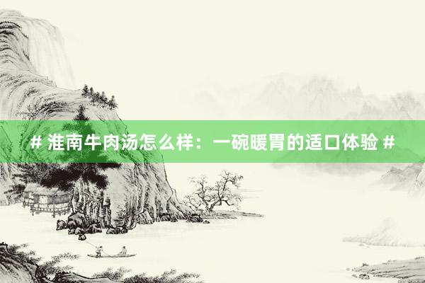 # 淮南牛肉汤怎么样：一碗暖胃的适口体验 #